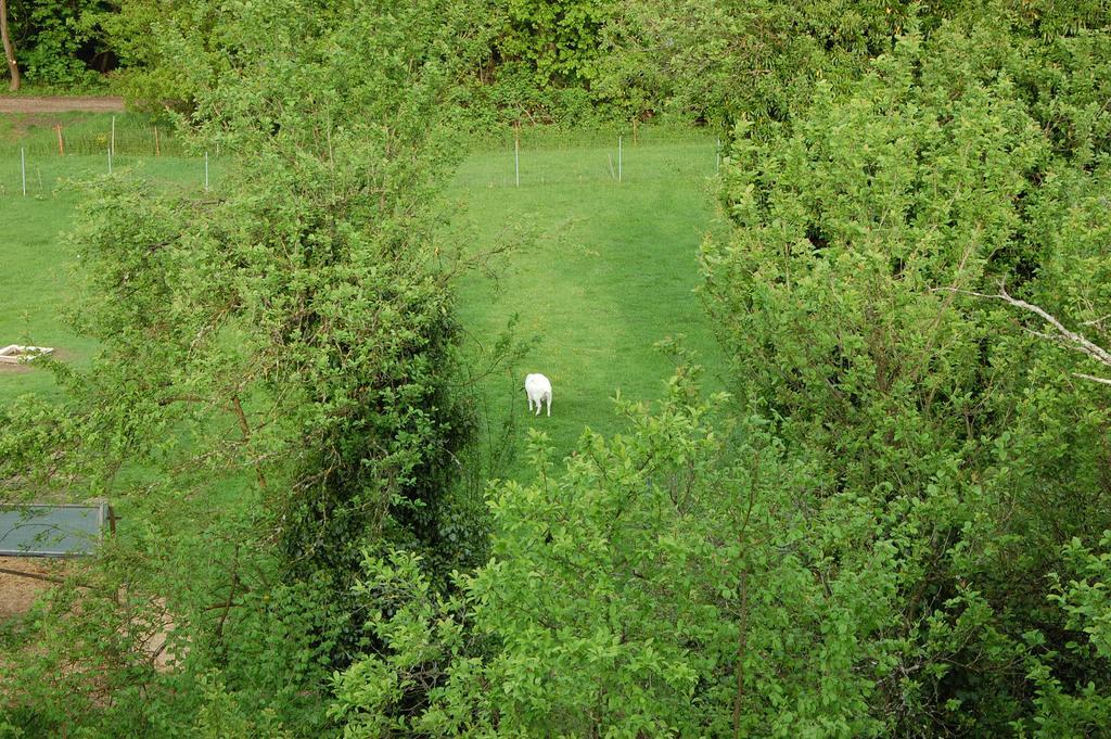 Fewofreizeit Rheinau Dış mekan fotoğraf